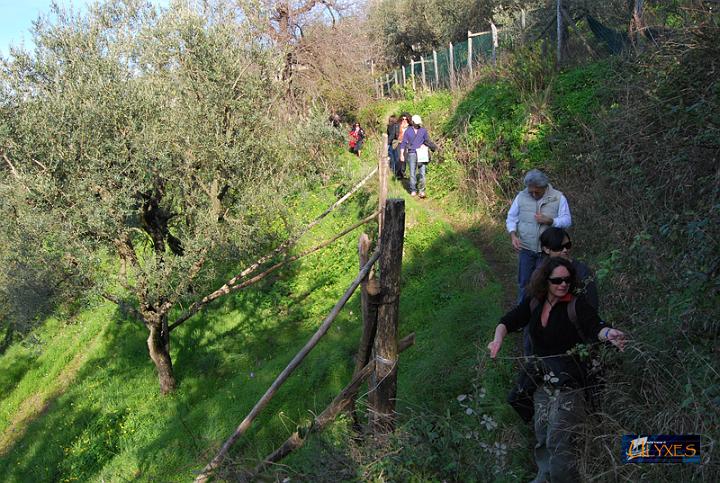 un tratto di campagna.JPG